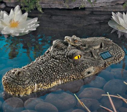Crocodil solar
