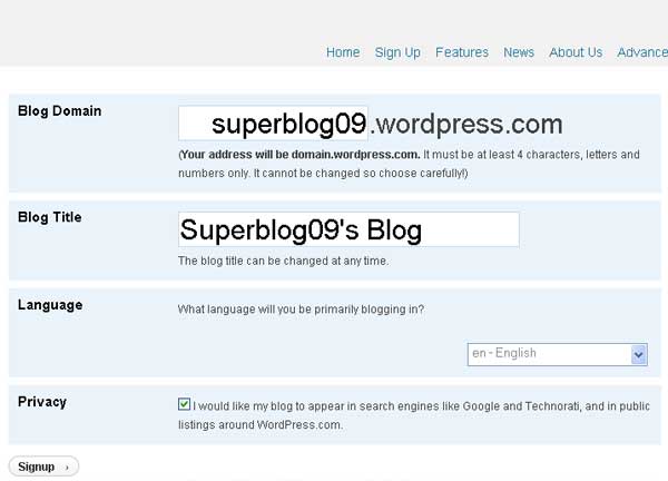 nume blog wordpress